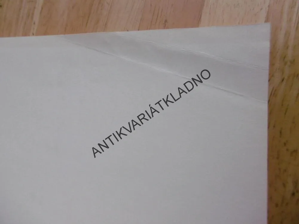 TYGŘÍK VASKA, OLGA PEROVSKÁ, MIRKO HANÁK, **an