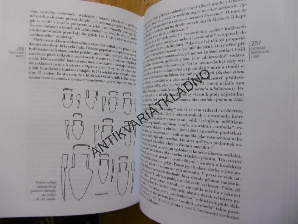 ČECHY V DOBĚ KNÍŽECÍ, JOSEF ŽEMLIČKA, **an