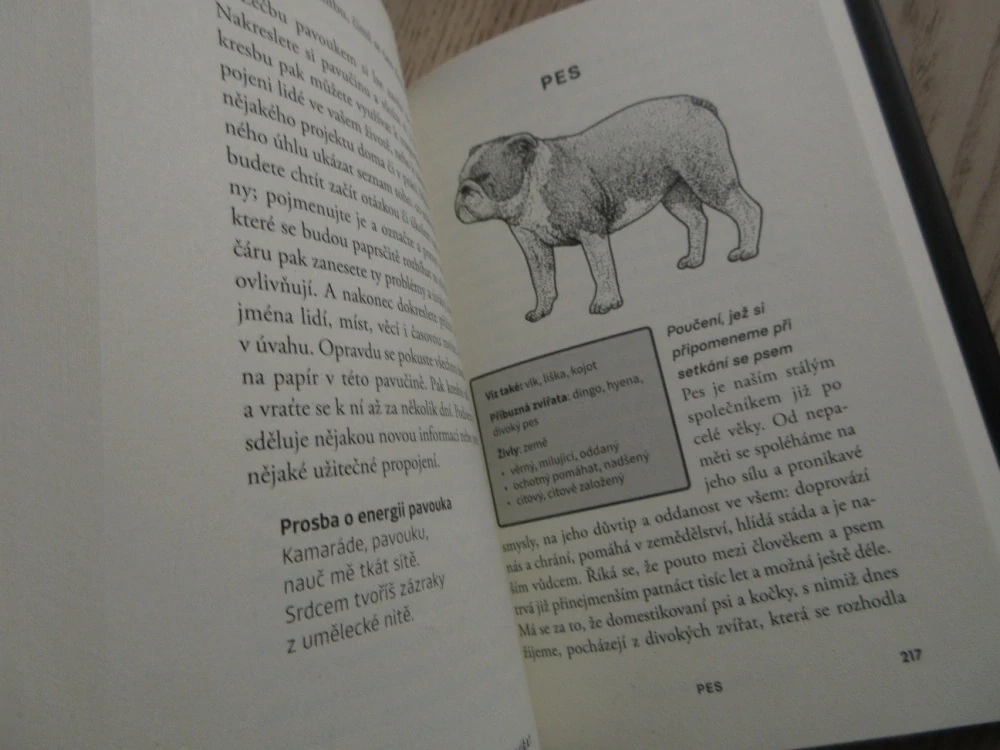 ŠAMANSKÁ SÍLA ZVÍŘAT, DON JOSE RUIZ, **an