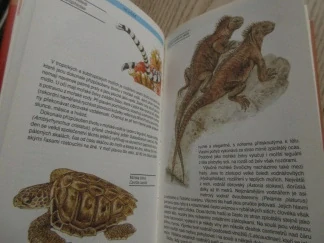 PLAZI A OBOJŽIVELNÍCI, J. ČIHAŘ, A. ČEPICKÁ, **an