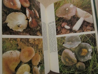 JIHOČESKÁ HOUBAŘSKÁ KUCHAŘKA, VILÉM VRABEC, **an