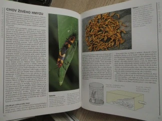 SVĚT HMYZU, RICK IMES,**an