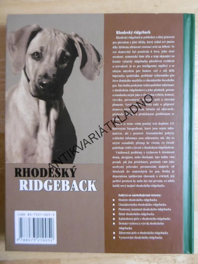 RHODESKÝ RIDGEBACK, PES, VÝCHOVA, PÉČE, **an