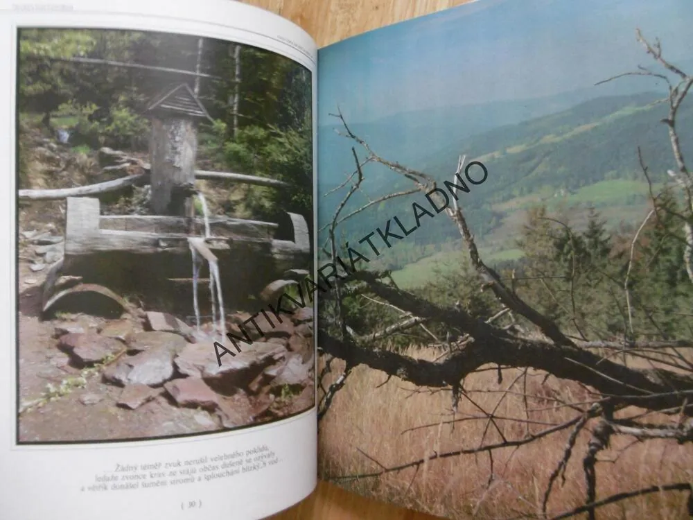 KLOSTERMANNOVA ŠUMAVA, SLÁVA VANEŠ, **an