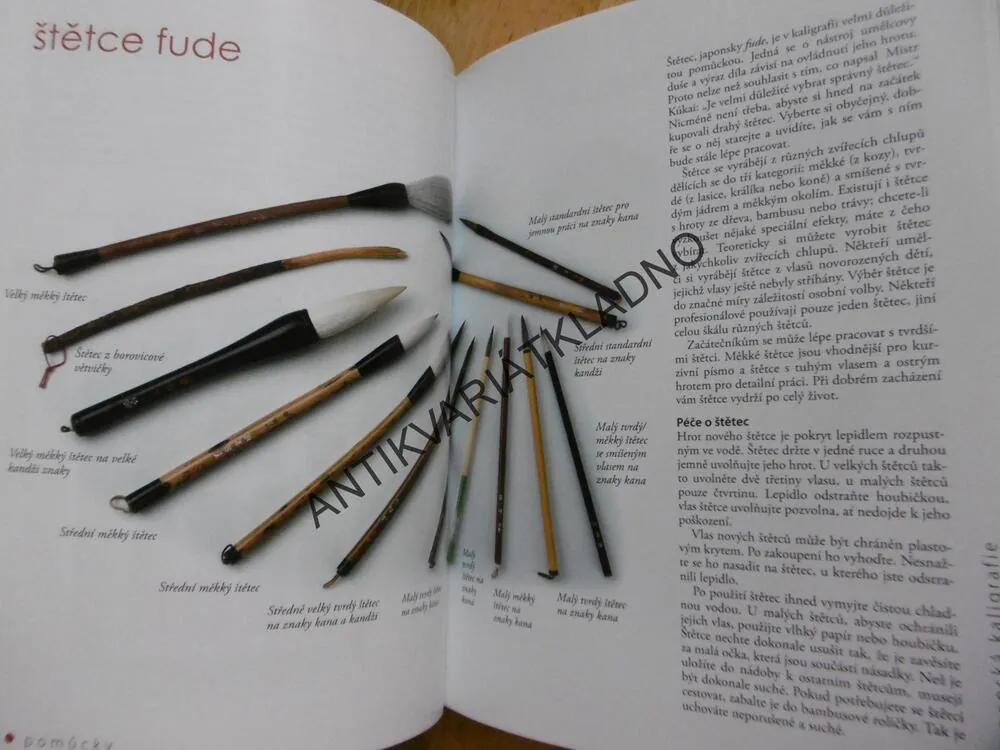 JAPONSKÁ KALIGRAFIE, JOKO TAKENAMI