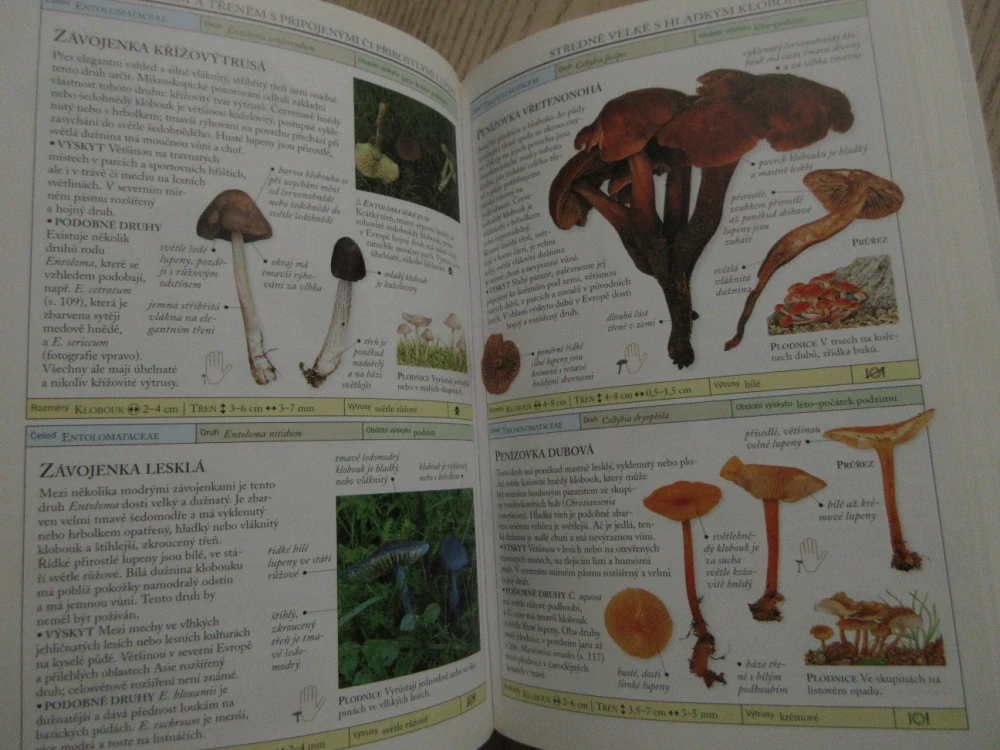 HOUBY, THOMAS LAESSOE, **an