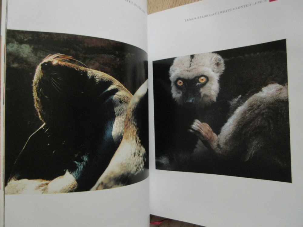 ZOO PRAHA, HERBERT SLAVÍK, **an