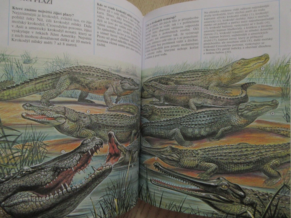 1000 OTÁZEK ZE ŽIVOTA ZVÍŘAT, **an