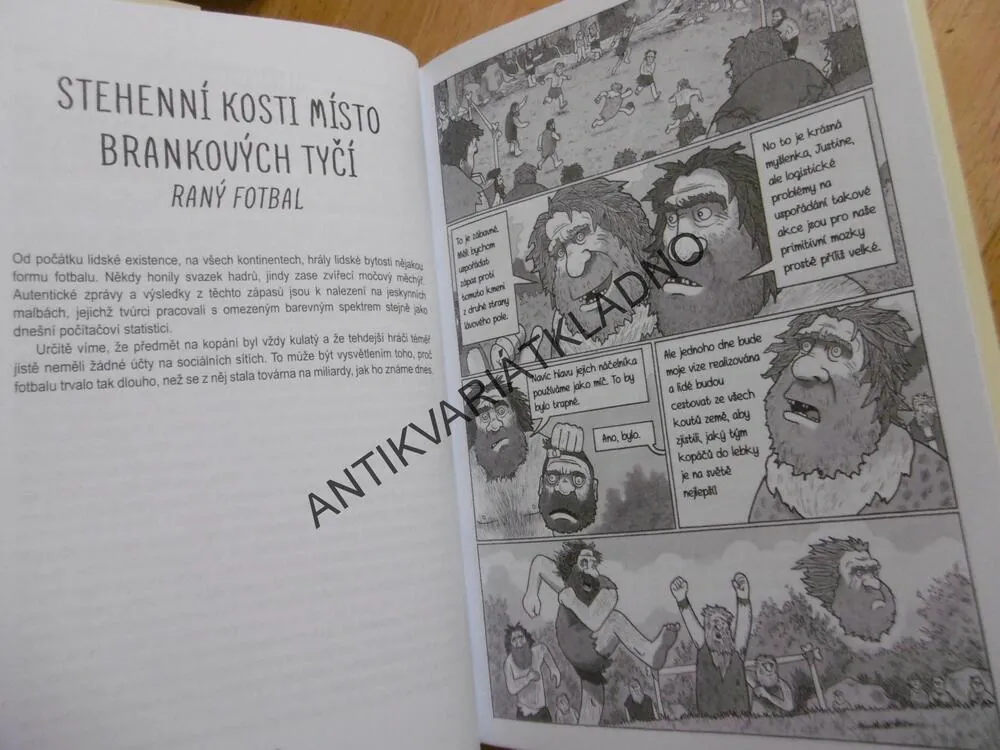 ILUSTROVANÁ HISTORIE FOTBALU, DAVID SQUIRES