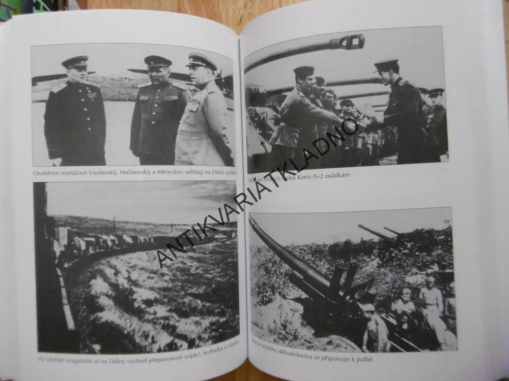 SRPNOVÁ BOUŘE, SOVĚTSKÁ STRATEGICKÁ OFENSIVA