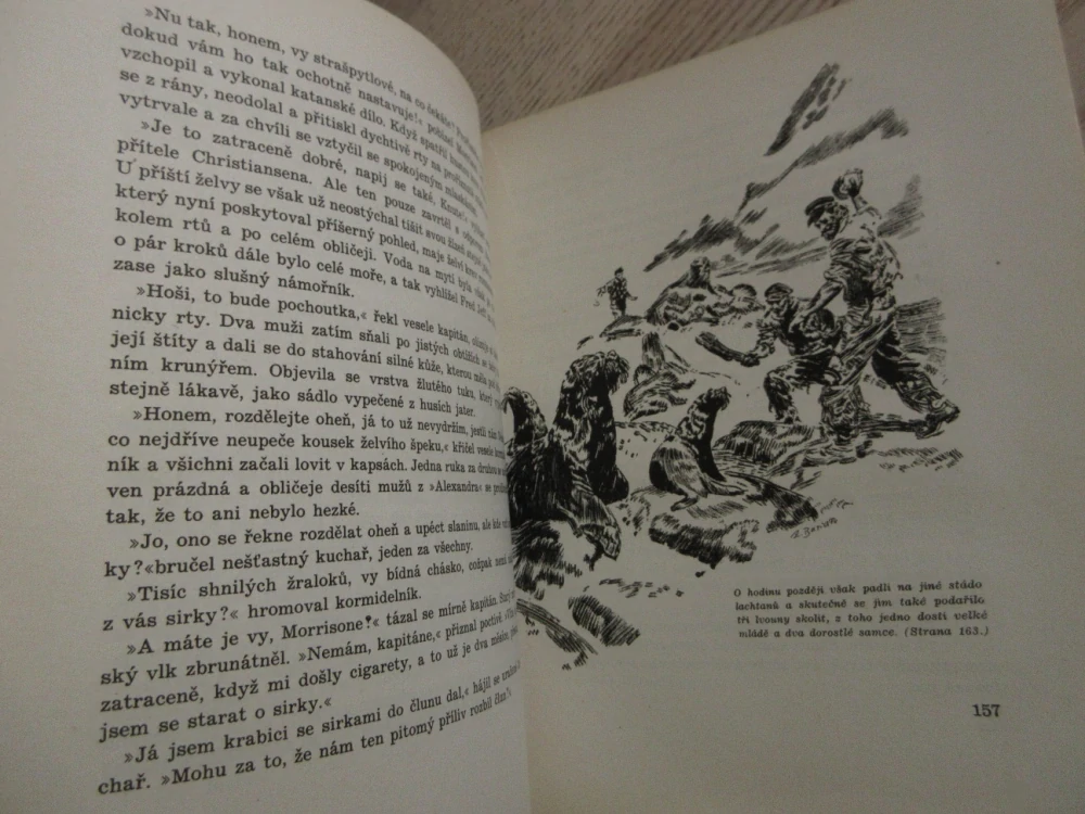 KNIHA ROBINSONŮ: OSUDY SLAVNÝCH TROSEČNÍKŮ, FRANTIŠEK BĚHOUNEK, **an