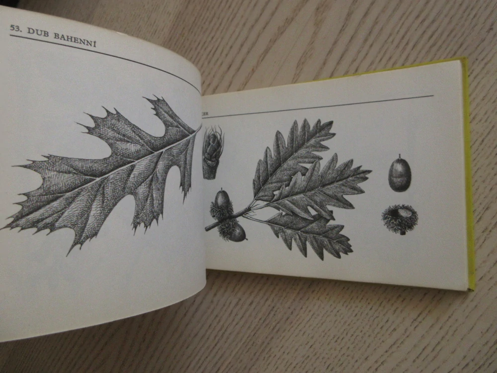 NAŠE STROMY A KEŘE, ALOIS MIKULA, **an