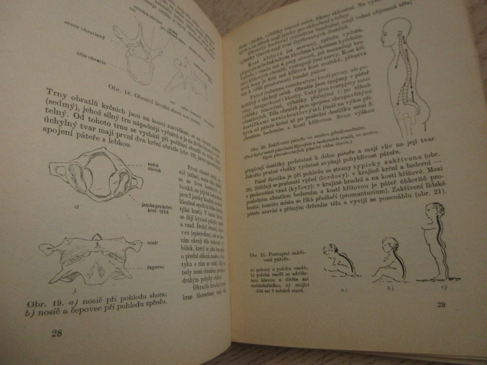 ANATOMIE, UČEBNÍ TEXT PRO ZDRAVOTNICKÉ ŠKOLY, 1954, **an