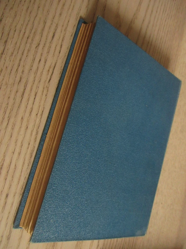 OLOVĚNÝ DÉŠŤ, E. P. VACEK, **an