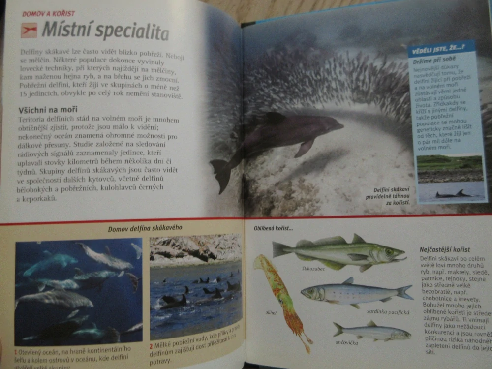 DELFÍN, SMRTÍCÍ SÍTĚ, DVD FILM DOKUMENT