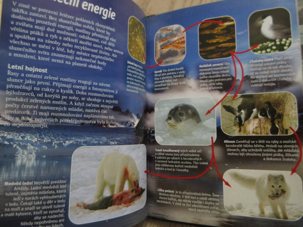 ARKTIDA, UMĚNÍ PŘEŽÍT, DVD FILM DOKUMENT