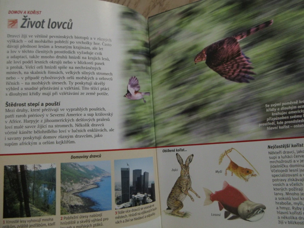 DRAVCI, KRÁLOVÉ NEBES, DVD FILM DOKUMENT