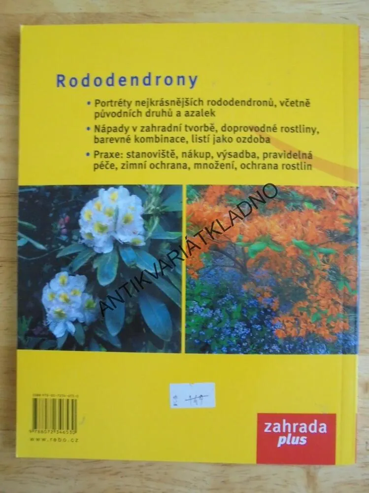 RODODENDRONY, ZAHRADA PLUS, DRUHY, ODRŮDY