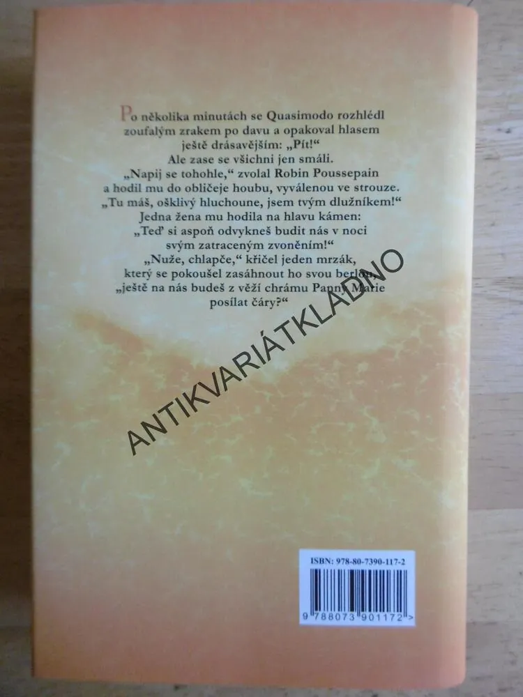 CHRÁM MATKY BOŽÍ V PAŘÍŽI, VICTOR HUGO