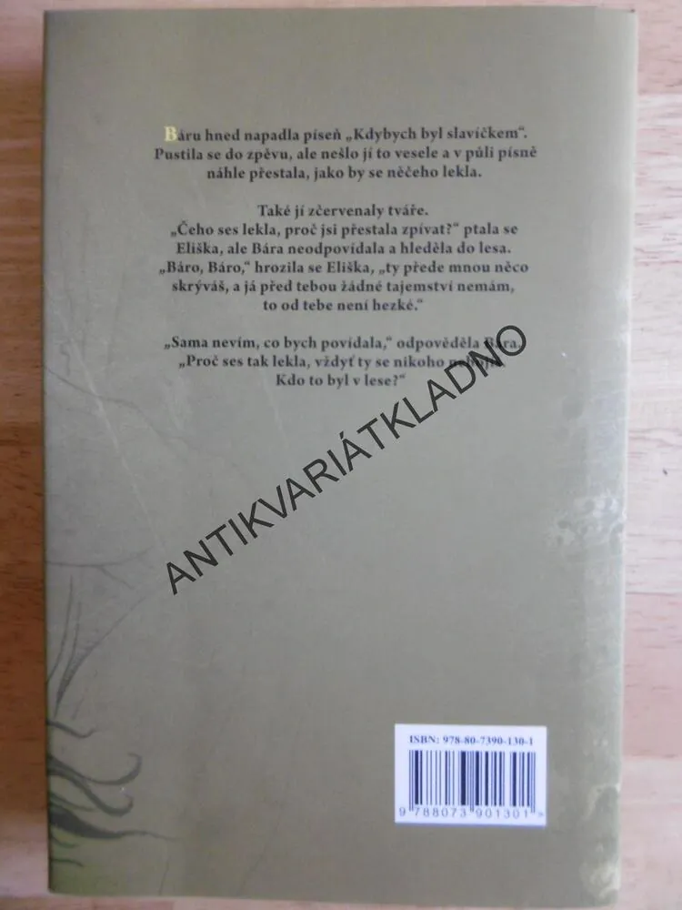 DIVÁ BÁRA A JINÉ PRÓZY, BOŽENA NĚMCOVÁ, **an