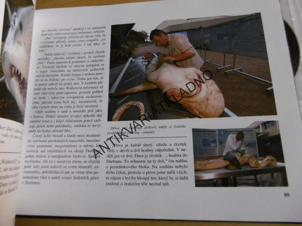 TIGER SHARK, HYENA MOŘÍ, RICHARD JARONĚK, + 2 DVD