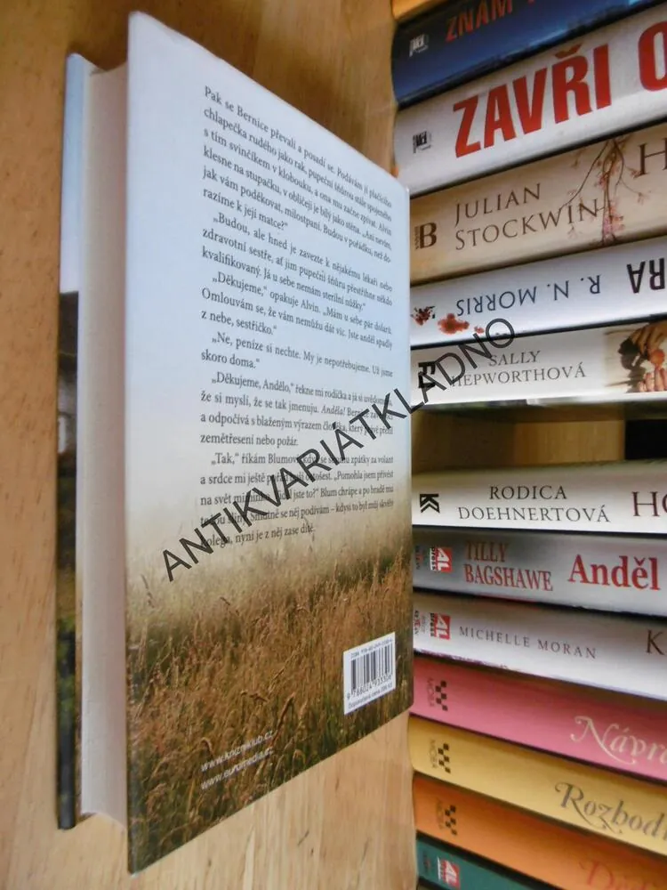 PORODNÍ BÁBOU PROTI SVÉ VŮLI, PATRICIA HARMANOVÁ