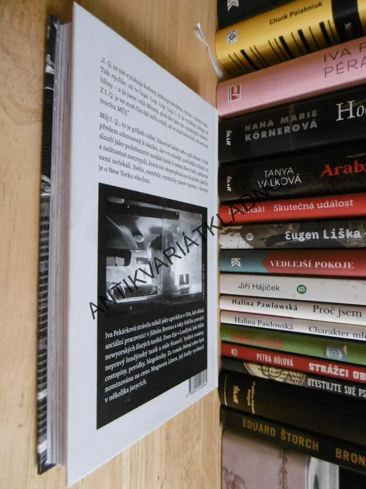 MŮJ I.Q., MĚSTO NEW YORK A JEDNA DIVNÁ LÁSKA, IVA PEKÁRKOVÁ, **an