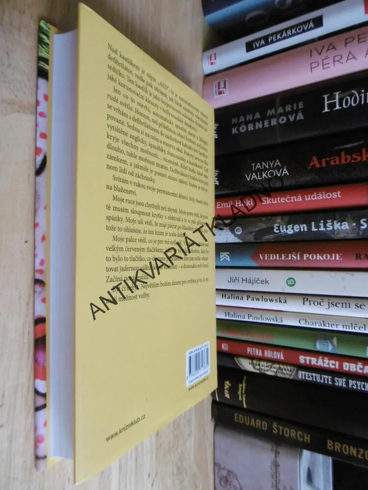 NĚCO SI VYMYSLI, CHUCK PALAHNIUK, 