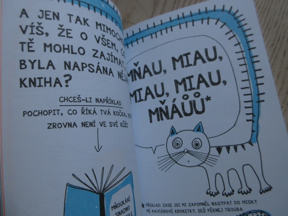 KNIHA, CO TĚ NAUČÍ MILOVAT KNIHY I KDYŽ ČTENÍ NESNÁŠÍŠ, FRANCOIZE BOUCHEROVÁ, **an