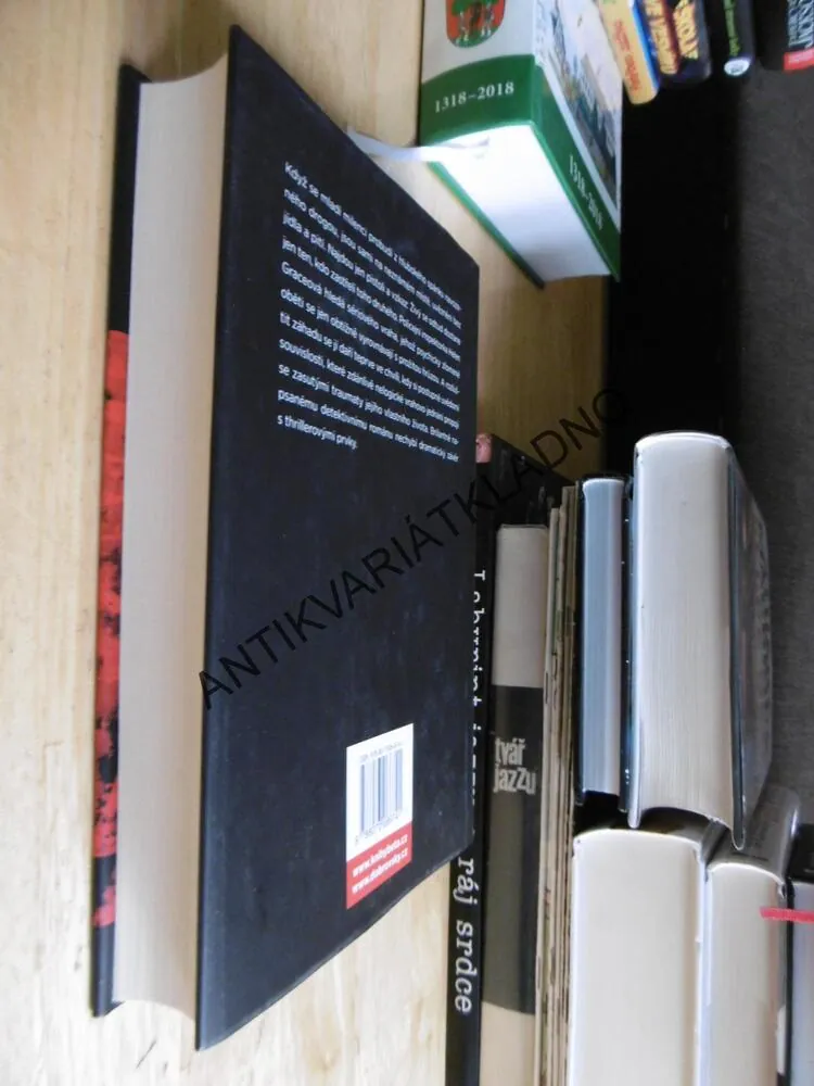 ENTENTÝKY, PŘEŽIJE JEN JEDEN, M.J.ARLIDGE, **an