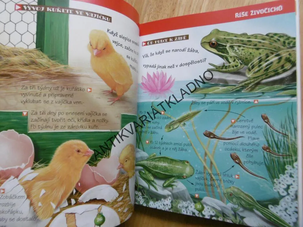 ENCYKLOPEDIE PŘÍRODA, ZÁBAVNÉ INFORMACE PRO DĚTI, **an