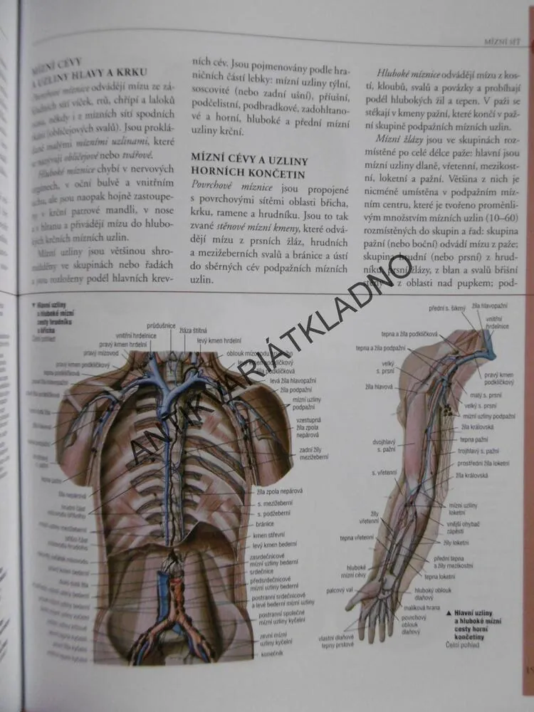 ANATOMIE, ILUSTROVANÝ ATLAS, 