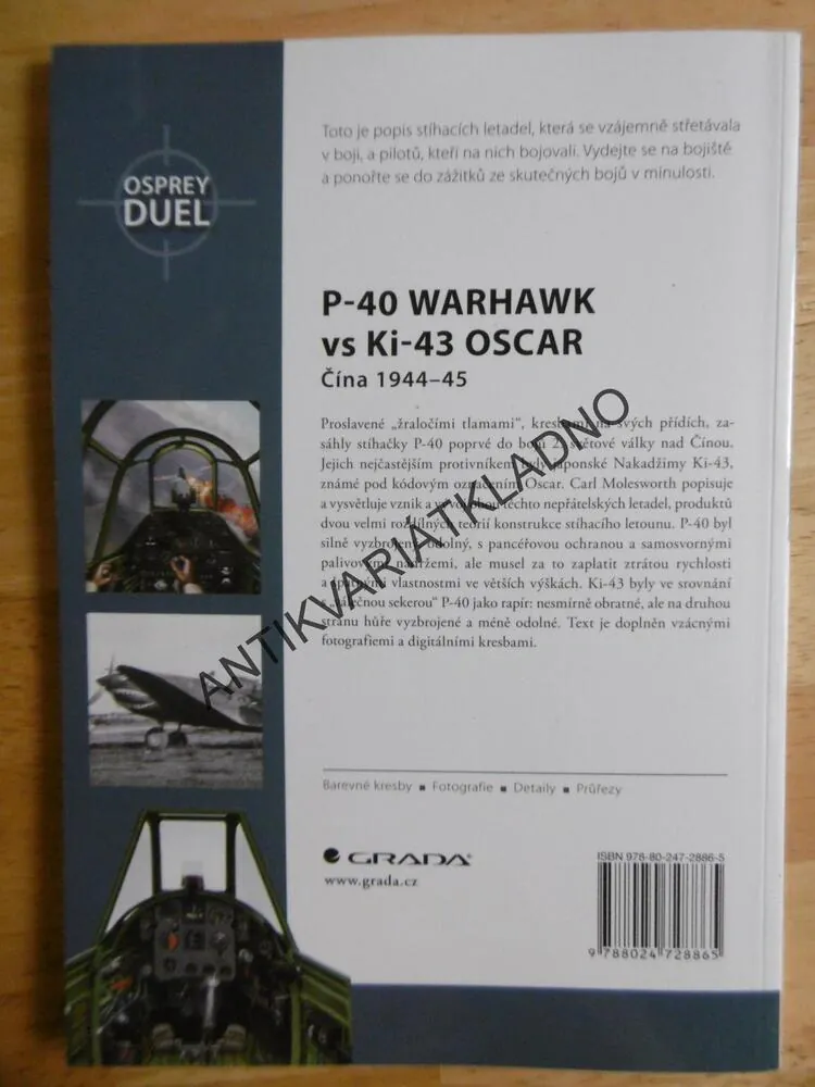 P-40 WARHAWK VS KI-43 OSCAR, MOLESWORTH