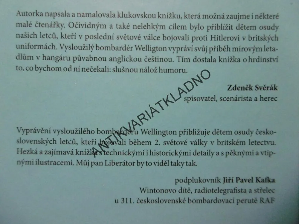 DOBRODRUŽSTVÍ PANA WELLINGTONA, O KLUCÍCH, LETADLECH A LETCÍCH RAF, BERGMANNOVÁ KLÍMOVÁ