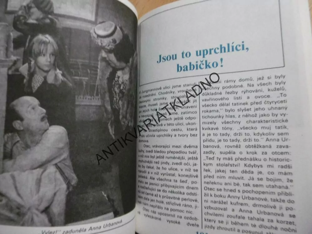 MALÝ MUŽ A VELKÁ ŽENA ANEB VLAK DĚTSTVÍ A NADĚJE, VĚRA SLÁDKOVÁ, FOTO FILM, **am