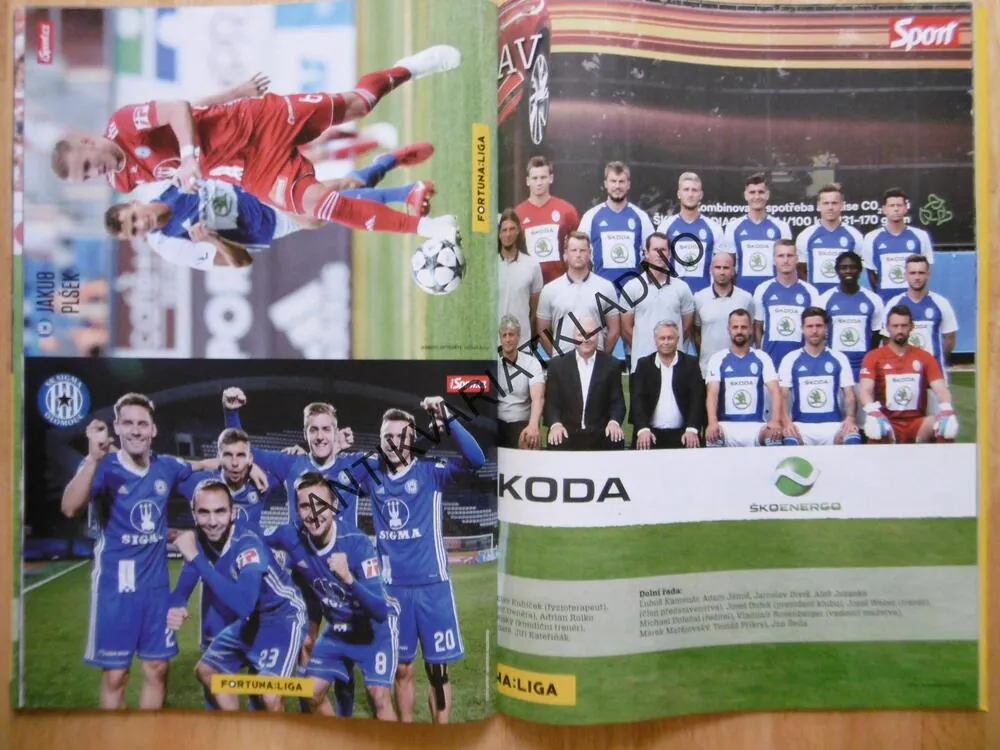 FOTBALOVÉ HVĚZDY LIGOVÉ SEZÓNY 2018/19