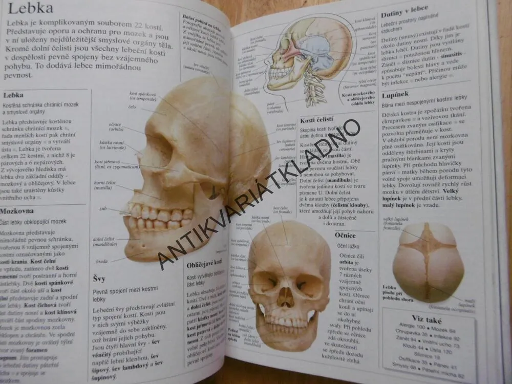 STRUČNÁ ENCYKLOPEDIE LIDSKÉHO TĚLA, BURNIE, , **an