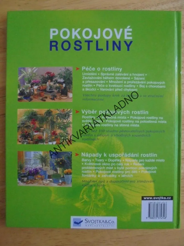 POKOJOVÉ ROSTLINY, PĚSTOVÁNÍ, VÝBĚR, NÁPAD PRO MÍSTO, **an