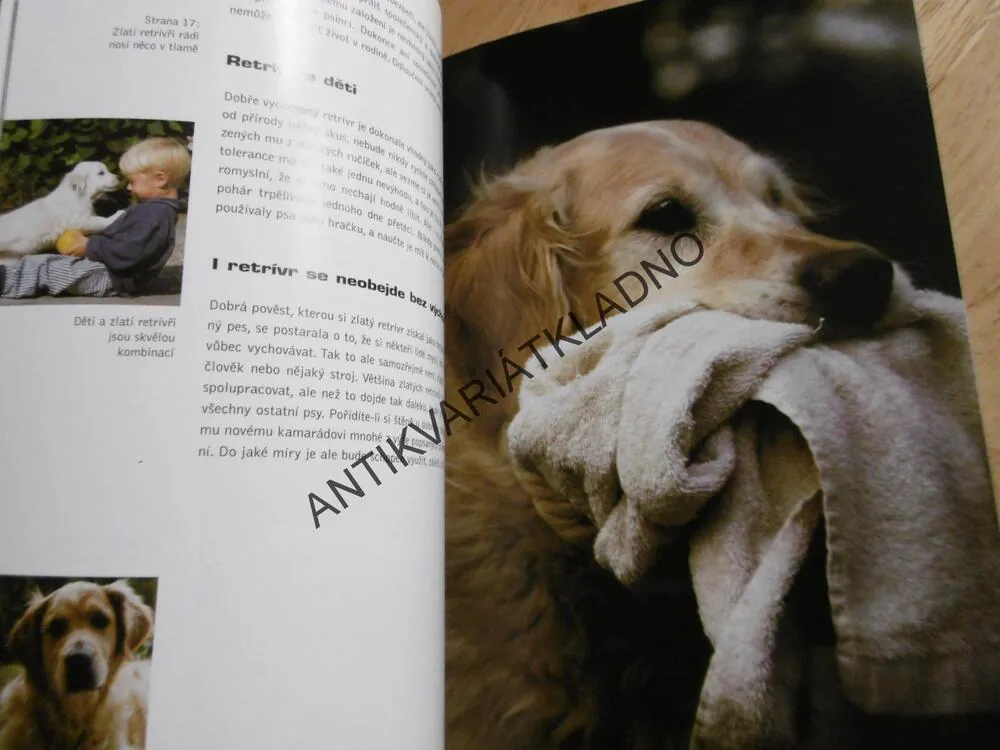 ZLATÝ RETRÍVR, ESTHER VERHOEF, **an