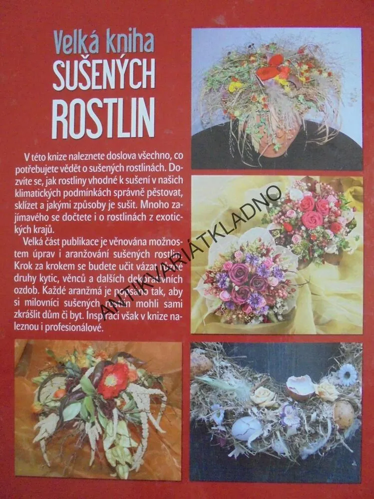VELKÁ KNIHA SUŠENÝCH ROSTLIN, HOBBY,**an