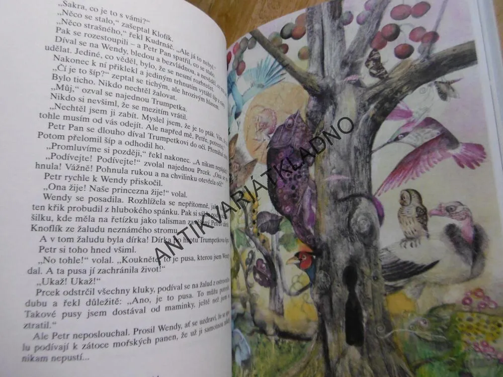 PETR PAN, J.K. BARRIE, **an