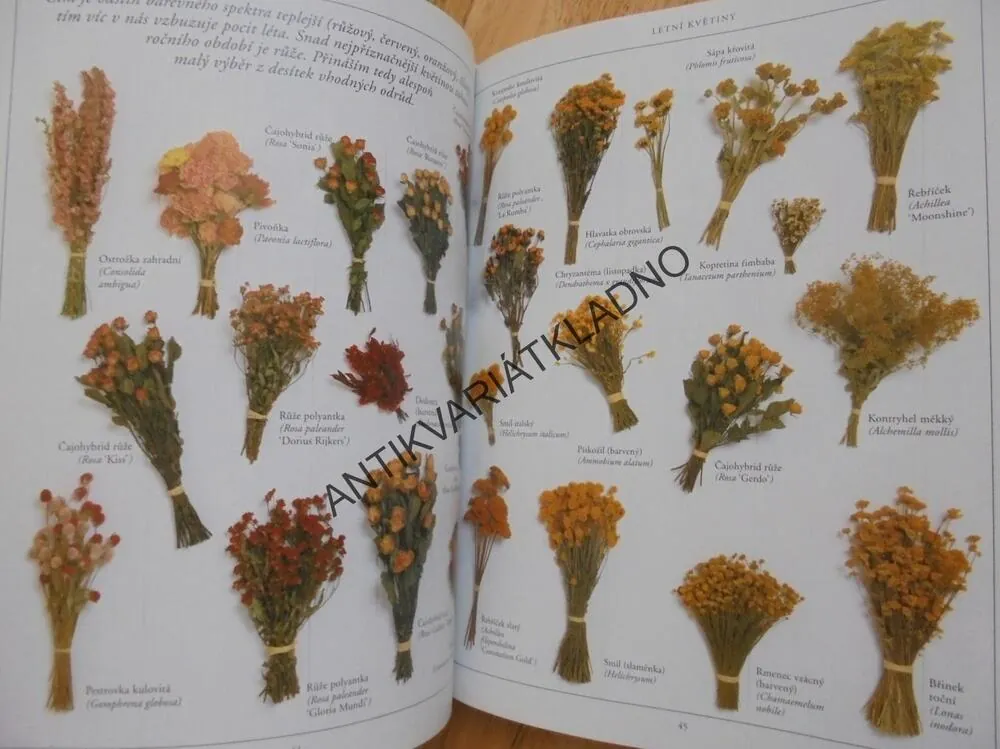 4 ROČNÍ OBDOBÍ SE SUŠENÝMI KVĚTINAMI, ARANŽOVÁNÍ