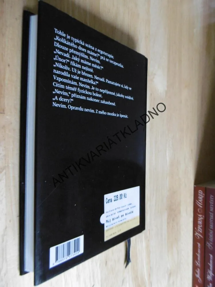 MŮJ ŽIVOT PO ŽIVOTĚ, MICHAL VIEWEGH, **an