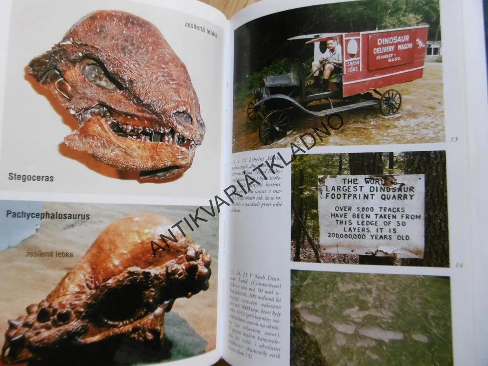 DINOSAUŘI OD A DO Z, HANS-JOACHIM ZILLMER,