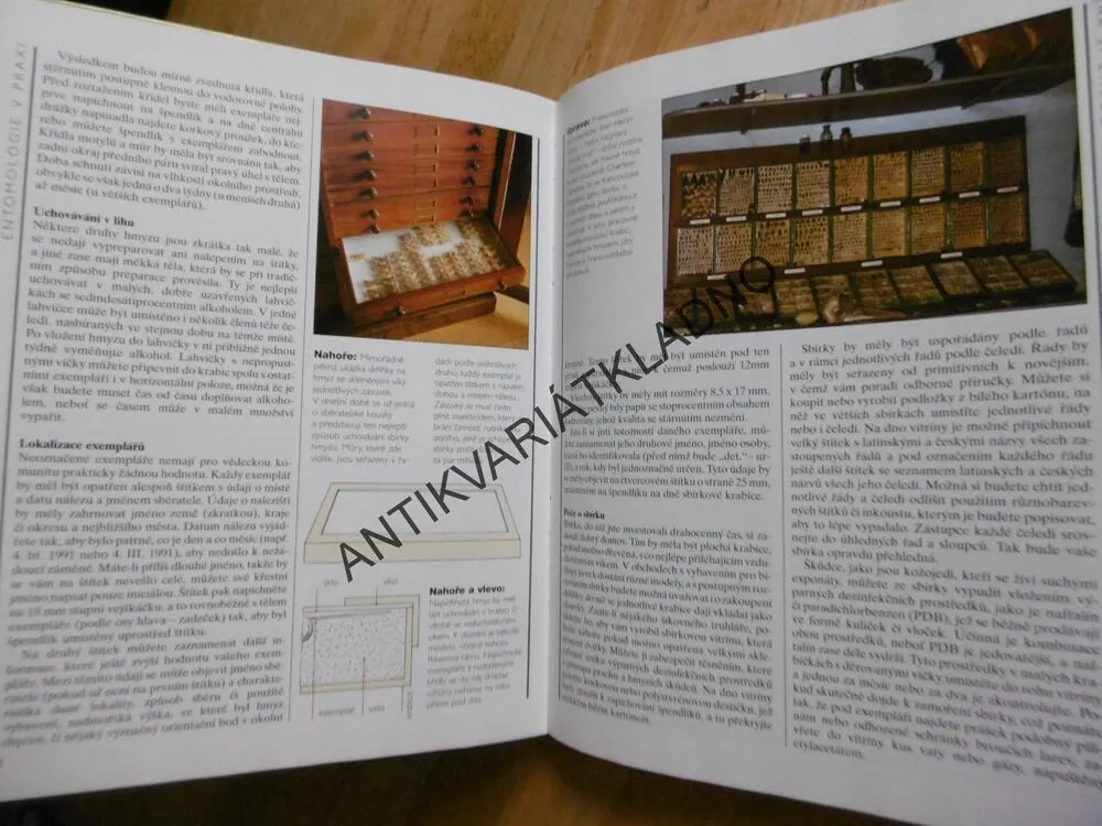 SVĚT HMYZU, RICK IMES,**an