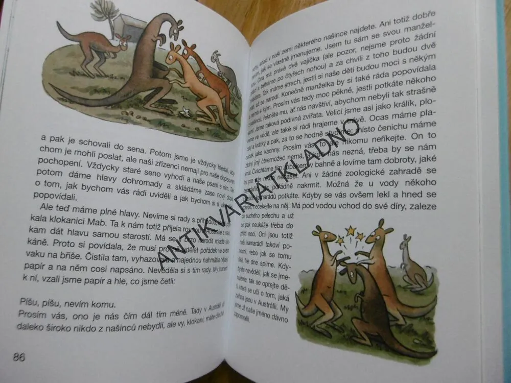 POŠTA V ZOO, ONDŘEJ SEKORA, 2007, **an