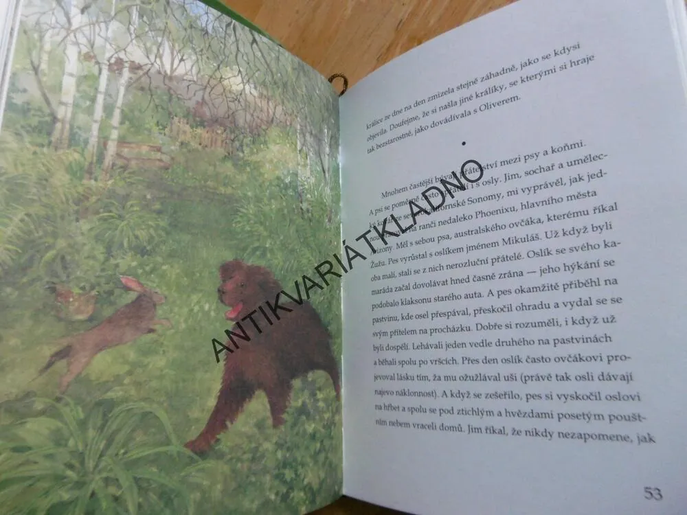 KDYŽ SE ZVÍŘATA KAMARÁDÍ, JEFFREY MOUSSAIEFF MASSON, **an