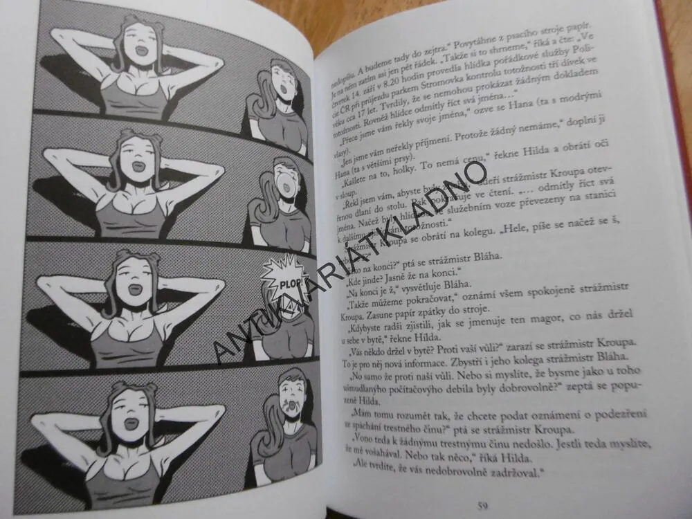 NEMACHRUJ, TA HOLKA JE NAKRESLENÁ! ANEB ÚNOS Z KOMIKSU HANA A HANA, **an
