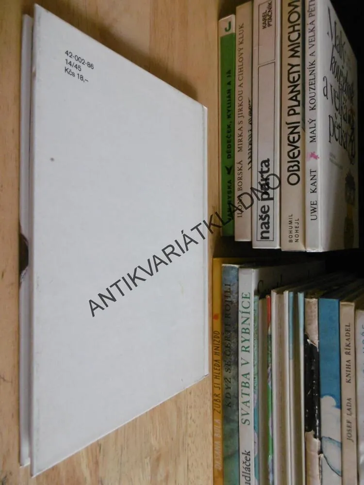 SMĚR ČERVENÝ ÚJEZD, ANNA BLAŽÍČKOVÁ, DISMAN, **an