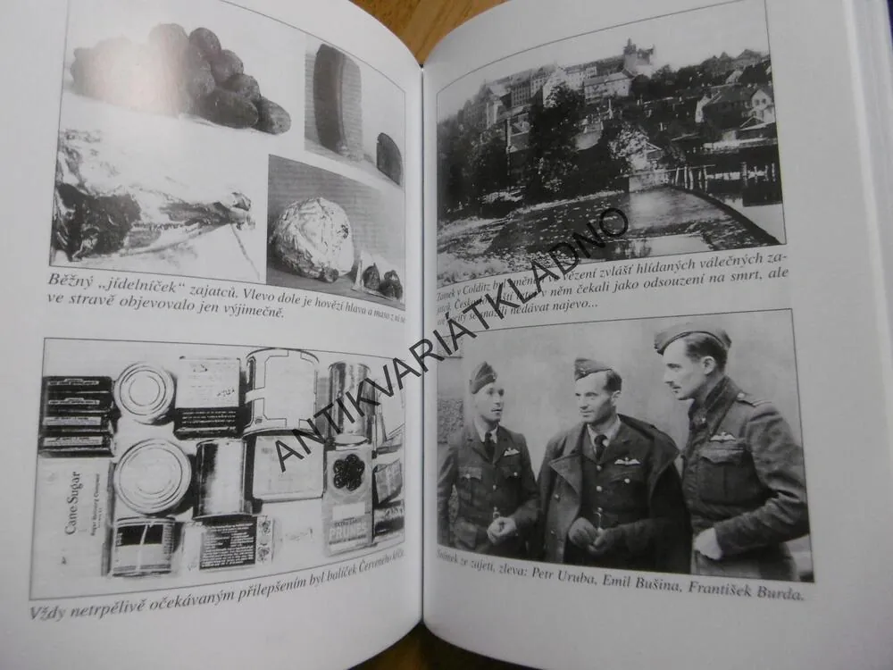 NA TROSKÁCH WELLINGTONU, VÁCLAV KUBEC, 